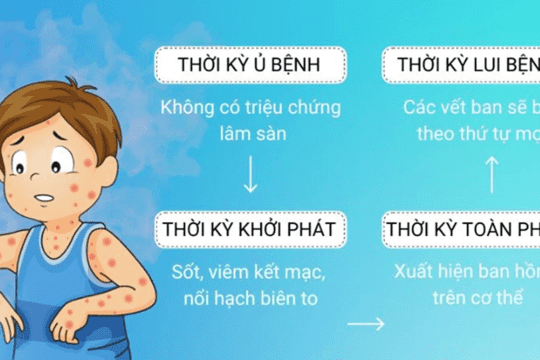SỰ KIỆN NỔI BẬT